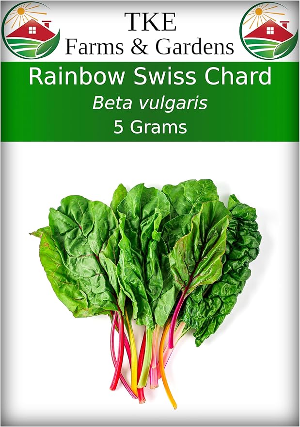TKE Farms & Gardens - Rainbow Swiss Chard Seeds for Planting, 175+ Heirloom Non-GMO Seeds, Vibrant Mix of Red, Pink, Gold and Green Stems, Sweet Tender Leaves, Nutritious, Easy-to-Grow Garden Favorite