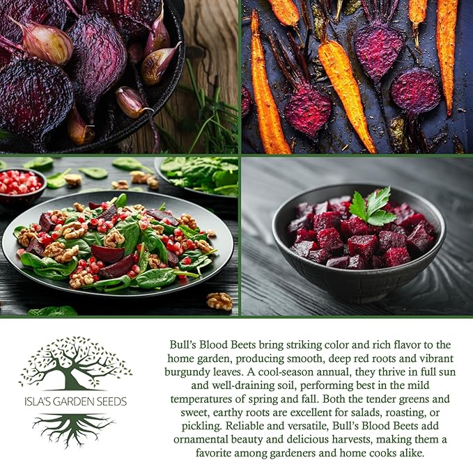 Bull’s Blood Beet Seeds (Beta vulgaris) – 100+ Heirloom Non-GMO Seeds by Isla’s Garden Seeds, Deep Red Roots & Burgundy Greens, Cool-Season Favorite, Dual-Purpose Variety, Great Home Garden Gift