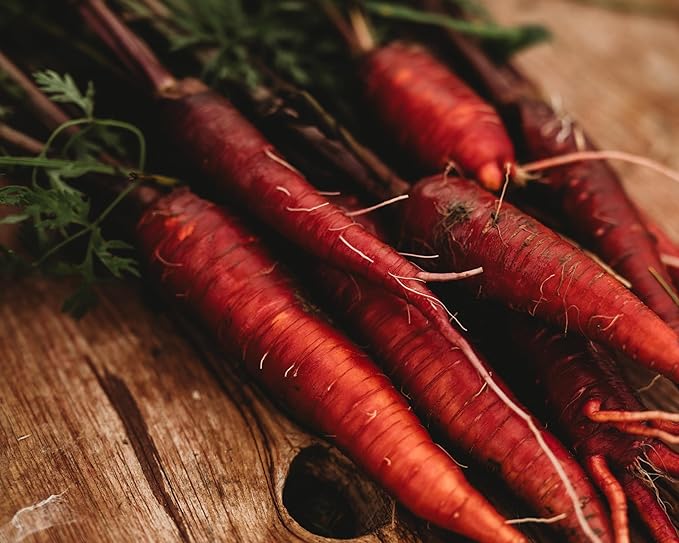Dragon Red Carrot - 150 Seeds - Rare Heirloom & Open-Pollinated Variety, Non-GMO Vegetable Seeds for Planting Indoors or Outdoors in Containers or The Home Garden, Thresh Seed Company
