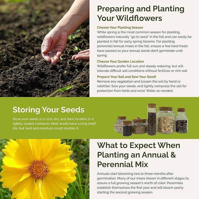 Eden Brothers Hawaii Wildflower Mixed Seeds for Planting, 1/4 lb, 120,000+ Seeds with Sunflower, Coneflower | Attracts Pollinators, Plant in Spring or Fall, Zones