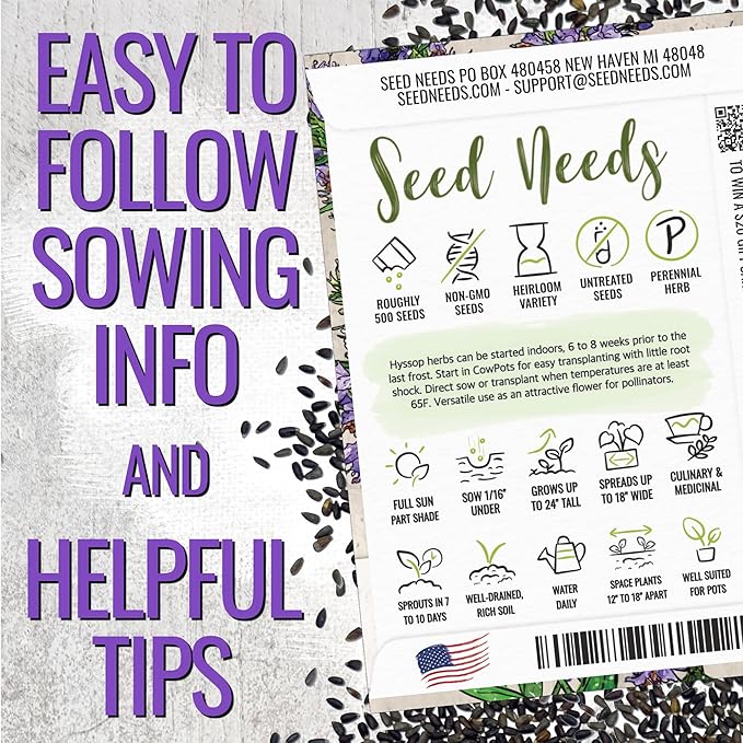 Seed Needs Hyssop Seeds for Planting Blue Hyssop Herbs - Non-GMO Heirloom & Untreated Hyssopus officinalis Seed to Plant an Indoor/Outdoor Medicinal Herb Garden (2 Packs)
