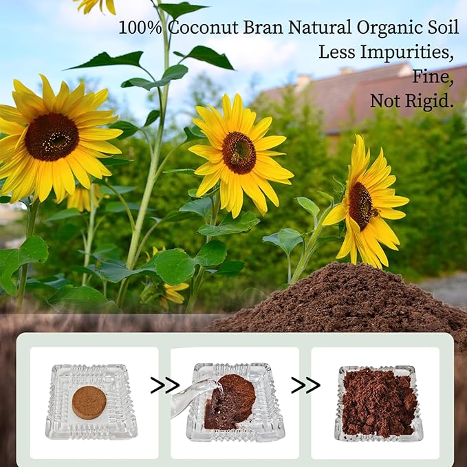 Sunflower Seed for Planting, Windowsill Plant Growing Kit with Planting Bags, Coir Soil & Tools Indoor Garden Plant Starter Kit, Sunflower Gifts, Gardening Gifts for Women & Men