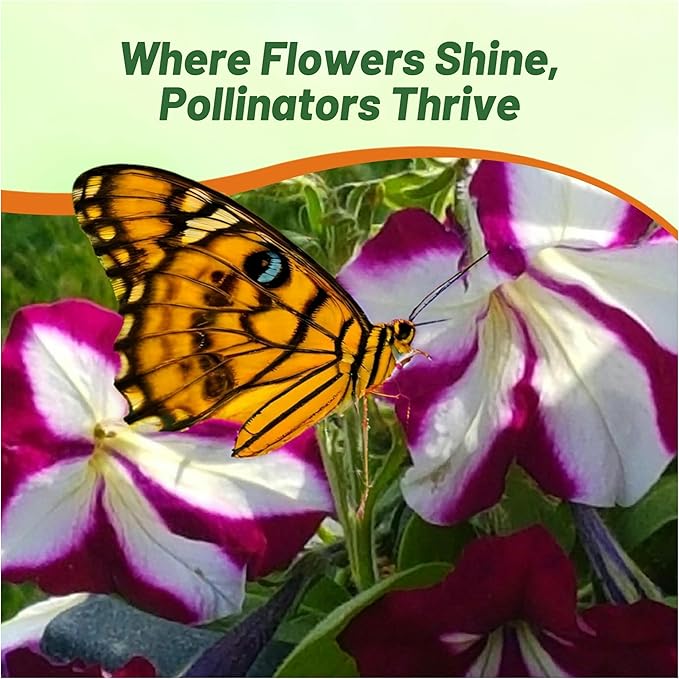 Outsidepride Star Multiflora Petunia Seeds - 1000 Pcs. Annual, Compact, Flower Seeds for Planting, Vibrant Blooms, Ideal for Garden Beds, Hanging Baskets & Container Displays