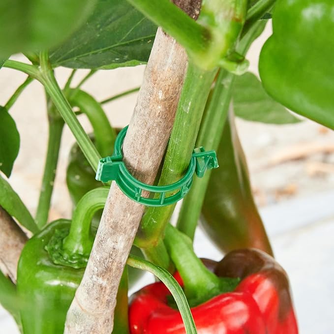 200Pcs Garden Vine Plant Support Clips,Plastic Fixing Clips for Securing and Training Climbing Plants,Tomatoes,Grapes,Vine Vegetables and Potted Plant (200, Green)
