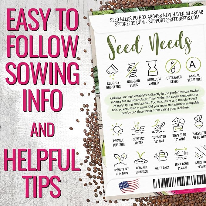 Seed Needs Radish Seeds for Planting Watermelon Radishes - Non-GMO Heirloom & Untreated - Grow a Home Grown Vegetable Garden - Cool Weather Crops (1 Pack)