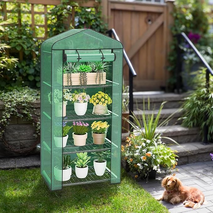 LEMY 4 Tier Mini Greenhouse Indoor Outdoor with PE Cover and Roll-Up Zipper Door,Portable Plant Green House for Seeds and Seedlings,Waterproof Shelved Tent for Patio,Garden,Balcony