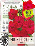 Seed Needs, Red Four O Clock Seeds - 60 Heirloom Seeds for Planting Mirabilis Jalapa - Colorful Flowers to Attract Butterflies Pollinators and Hummingbirds to The Garden (1 Pack)