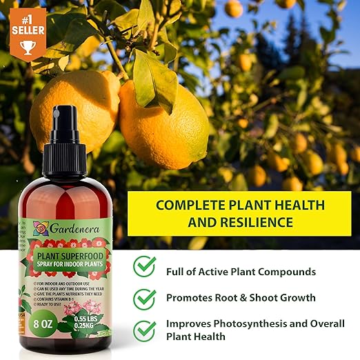 𝐁𝐄𝐒𝐓𝐒𝐄𝐋𝐋𝐄𝐑 Plant Superfood for Thai Constellation Plants with B1 Vitamin, Glucose and Essential Minerals - Organic Plant Food Fertilizer for Indoor & Outdoor Thai Constellation Care - 8oz
