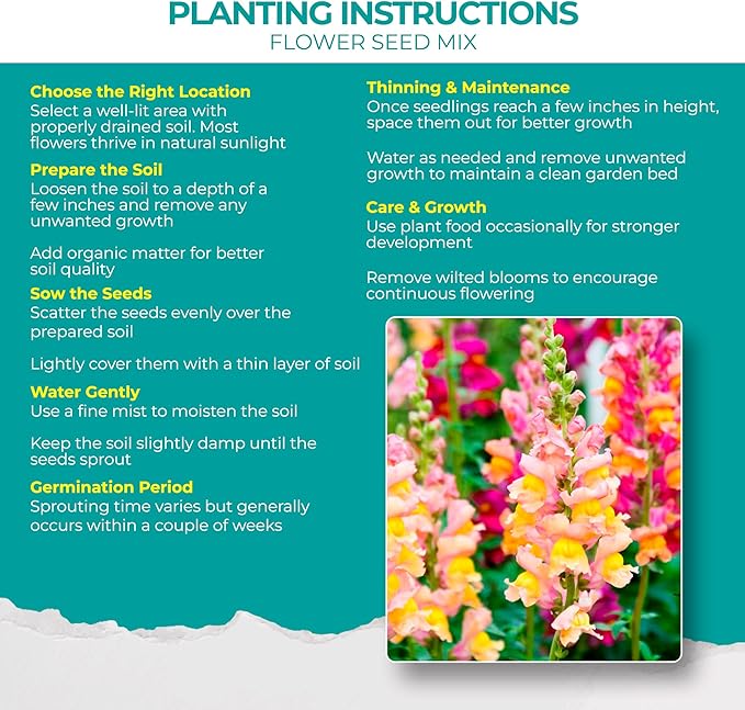2200+ Mixed Flower Combo Seed Pack for Your Home Garden, 40+ Variety Flower, Including Petunia, Zinnia, Sunflower and More, Attracts Pollinators, Non- GMO and Heirloom