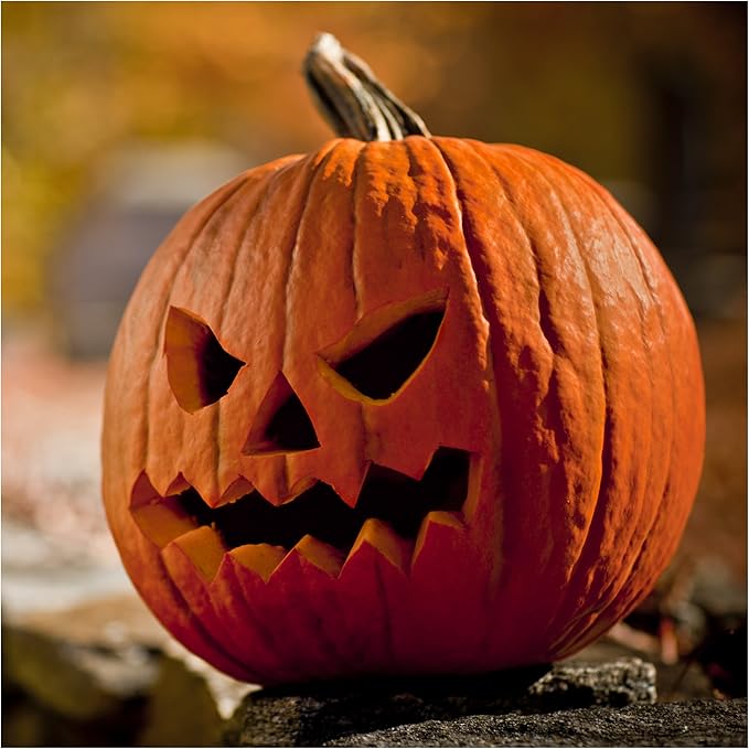 Seed Needs Pumpkin Seeds for Planting Spooky Blend - 30 Premium Heirloom Seeds (Lumina White, Jack O Lantern, Baby Boo, Blue Jarrahdale, Cinderella & More!) Non-GMO & Untreated (1 Small Pack)