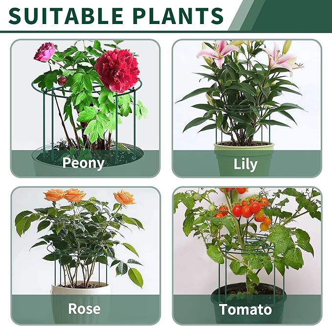 SYITCUN 8pack Peony Cages and Supports, 10 x 16 Inch Four Legs Peony Cage, Heavy-Duty Peonies Support Cages, Peony Ring for Roses, Hydrangeas, Sage, Peonies, Cucumbers, Tomato