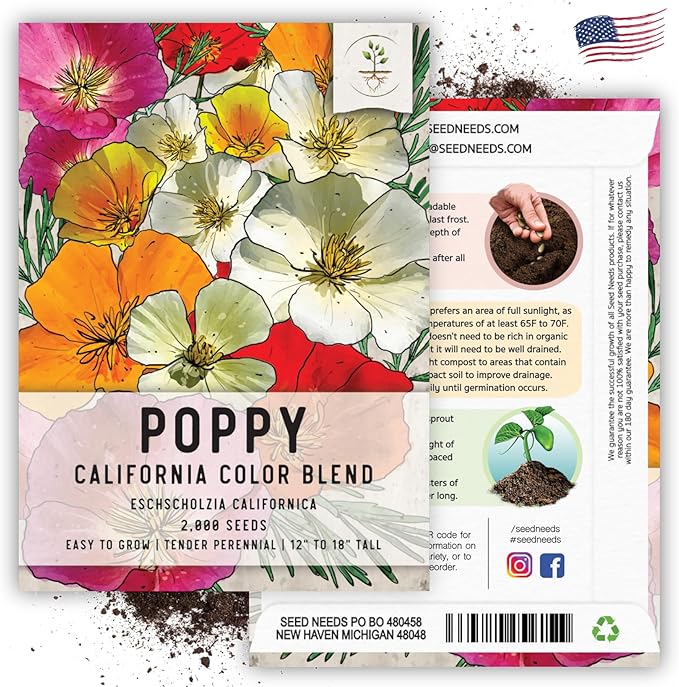 Seed Needs Mixed California Poppy Seeds for Planting - Heirloom & Open Pollinated Tender Perennial - Colorful Mixture of Flowers to Plant a Butterfly Garden (1 Pack)
