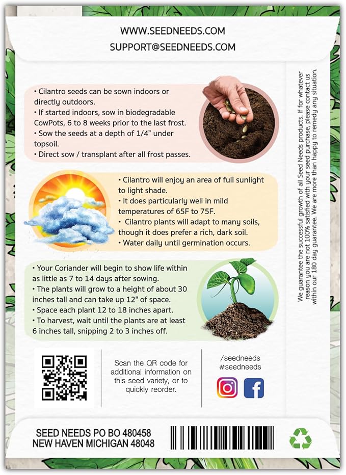 Seed Needs Cilantro Seeds for Planting Coriander Kitchen Herbs - Non-GMO Heirloom & Untreated - Grow a Home Grown Herb Garden Indoors or Outdoors (2 Packs)