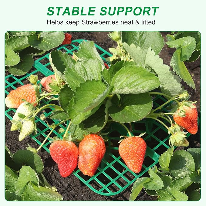 Strawberry Plant Supports, 10 Pack Square Frames Keep Strawberries Off Ground, Garden Holders for Cleaner Strawberry Fruit & Easier Harvest