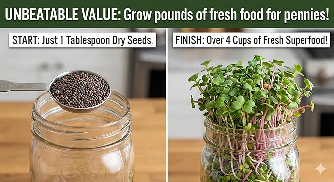 Todd's Seeds® Broccoli and Friends Sprouting Seed Mix, One Pound