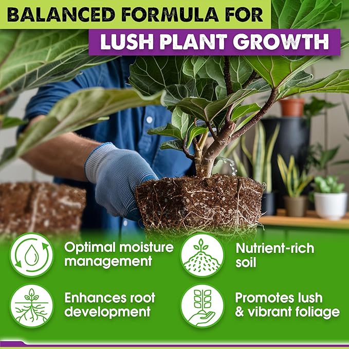 DUSPRO Recycle Fiddle Leaf Fig Soil Specialized for Fiddle Leaf Fig Plant Indoor 5-in-1 Pre-Mixed with Coco Coir, Coconut Fiber, Perlite, Pumice, Pine Bark Ready-to-Use Handmade Mix Drainage 10 QRT