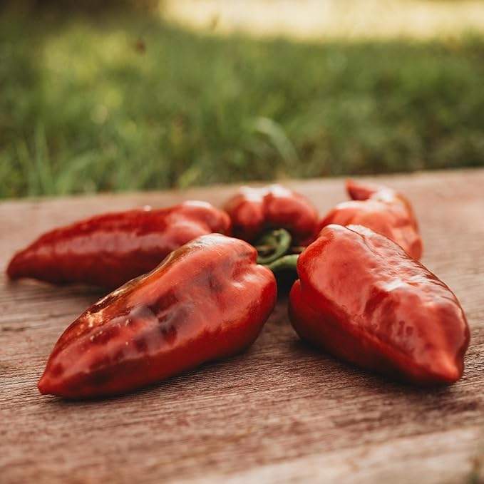 Yalova Yaglik Sweet Frying Pepper - 25 Seeds - Rare Heirloom & Open-Pollinated Variety, USA-Grown, Non-GMO Vegetable Seeds for Planting Outdoors in The Home Garden, Thresh Seed Company