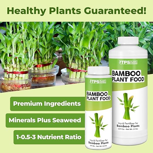 Bamboo Plant Food – Liquid Plant Food for New Shoot Growth, Rich Green Leaves & Strong Root Development, 32 oz