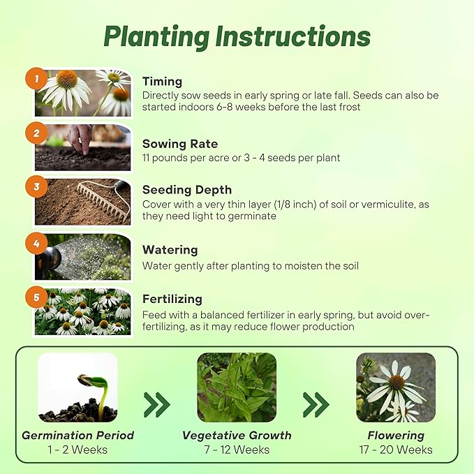 Outsidepride White Swan Echinacea Coneflower Seeds - 500 Pcs Hardy, Drought-Tolerant Perennial Wildflower Seeds for Planting w/Daisy-Like Blooms, Ideal for Gardens, Borders, & Pollinator Habitats