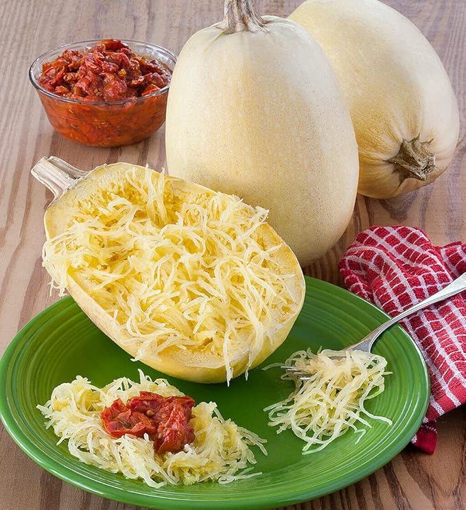 CEMEHA SEEDS - Seeds Zucchini Courgette Squash Spaghetti Yellow Non GMO Vegetable for Planting