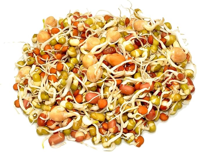 Handy Pantry Organic Salad Sprouting & Microgreens Mix – 8 Oz – Non-GMO, High-Germination Blend of Alfalfa, Broccoli, Lentil, Mung Bean & Radish Seed – Fresh, Crisp Sprouts & Nutritious Micro Green