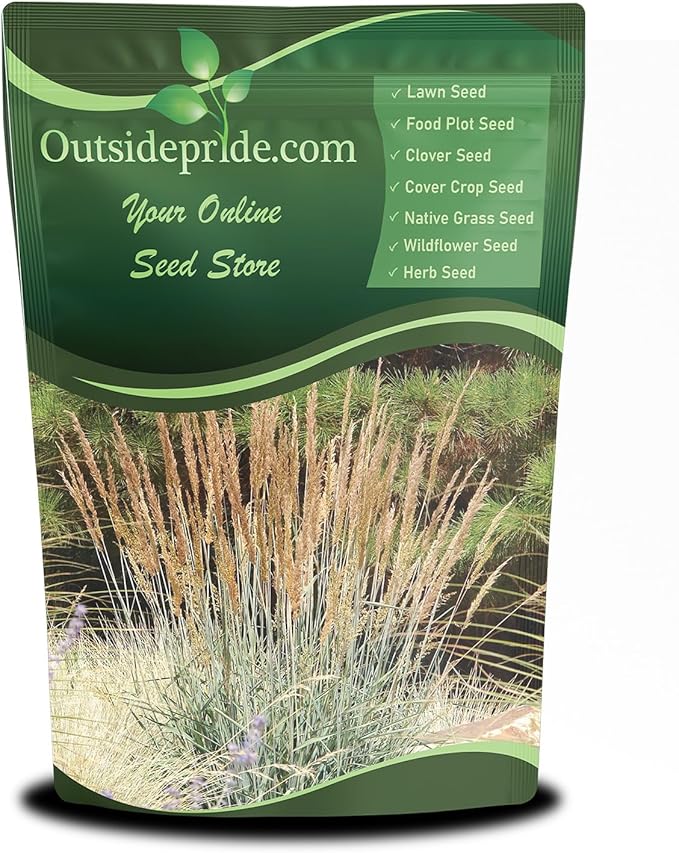 Outsidepride Indian Native Grass Seed - 10 lbs. Perennial, Low Maintenance, Drought-Tolerant Prairie Grass Seed for Wildlife Habitat, Livestock Forage, Ornamental Landscaping & Erosion Control