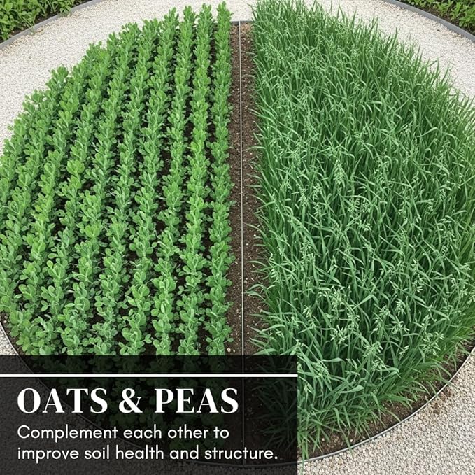Pea and Oat Cover Crop Seeds – Non-GMO, Annual, Nitrogen-Fixing Mix – Builds Soil Health, Forage-Friendly, Winter-Kill Variety – Spring Thru Fall Planting – 50–70 Days to Maturity (5 Pounds)