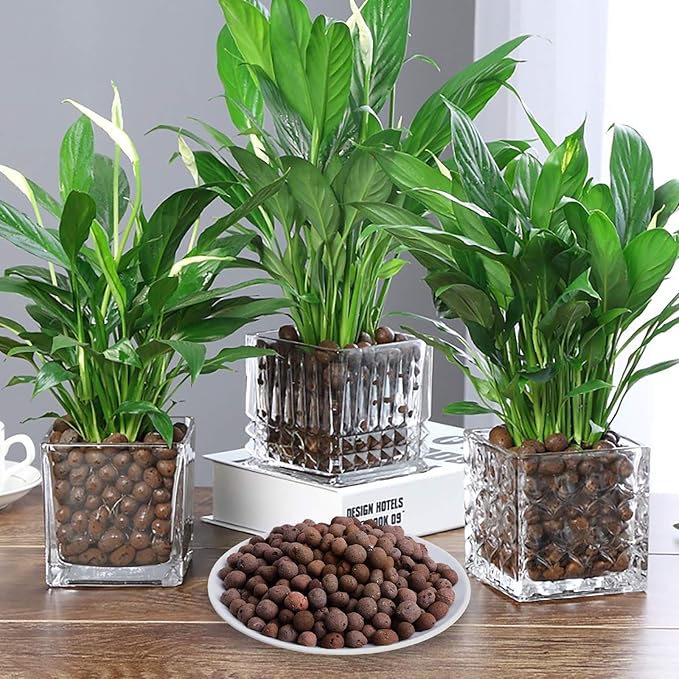 2LBS Leca Expanded Clay Pebbles Hydroponics Supplies for Indoor Garden Plants (2LBS)
