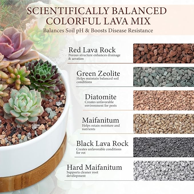 2.5LB Lava Rocks for Plants-3/8 Volcanic Rock for Succulent Potting Mix, Cactus, Orchids & Bonsai-Porous Horticultural Grit for Drainage, Aeration & pH Balance - Decorative Top Dressing
