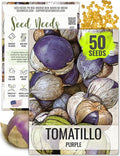 Seed Needs, Purple Tomatillo Seeds - 50 Heirloom Seeds for Planting Physalis ixocarpa - Non-GMO & Untreated Mexican Husk Tomato for Making Salsa (1 Pack)