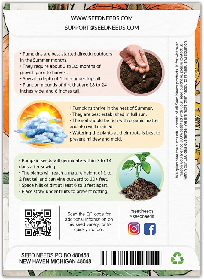Seed Needs, Jack O' Lantern Pumpkin Seeds - 25 Heirloom Seeds for Planting Cucurbita Pepo - Non-GMO & Untreated, Great for Carving at Halloween (5 Packs)