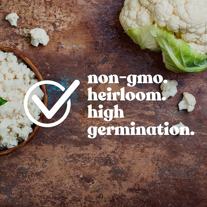 Cauliflower Seeds - Igloo - 0.25 Oz ~2,250 Seeds - Brassica oleracea VAR. botrytis - Farm & Garden Vegetable Gardening & Microgreens Seed - Non-GMO, Heirloom, Open Pollinated, Annual