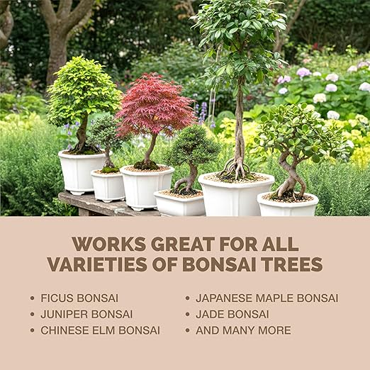 Bonsai Fertilizer – Liquid Plant Food for Healthy Growth, Vibrant Foliage & Stronger Root Development, 1 Gallon