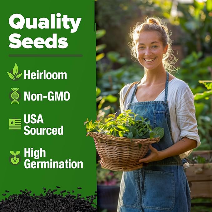HOME GROWN Genovese Basil Seeds 2 Pack 3500 & Peppermint 4,740 & White Sage 646 & Lemon Balm 806