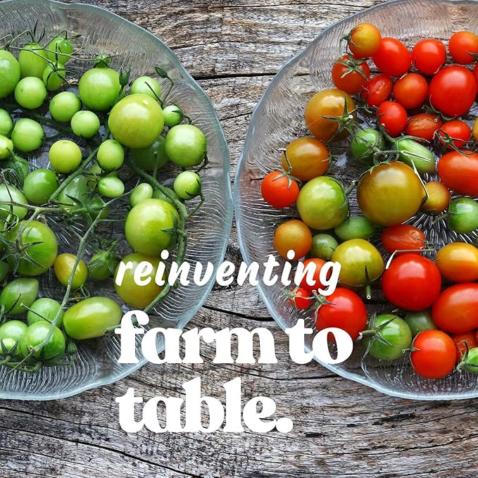 Aunt Ruby's Green German Tomato Garden Seeds - 1 Oz ~7500 Seeds - Non-GMO, Heirloom, Annual Gardening Seed - Solanum lycopersicum