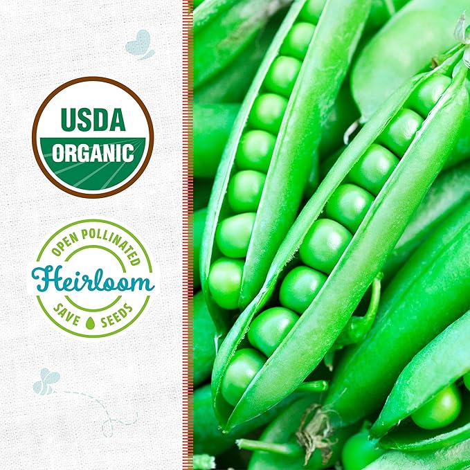 Back to The Roots 100% Organic Seed Packet - Pea 'Green Arrow' 8.4g