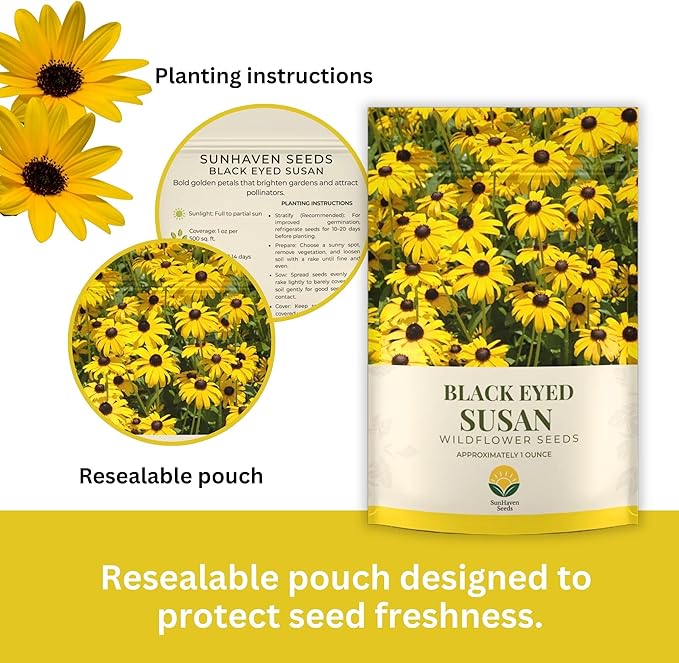 Black Eyed Susan Seeds – 100,000+ Seeds – 1 oz Bulk Extra Large Resealable Packet – Premium Non-GMO Rudbeckia hirta Wildflower Seeds with Bright Yellow Blooms