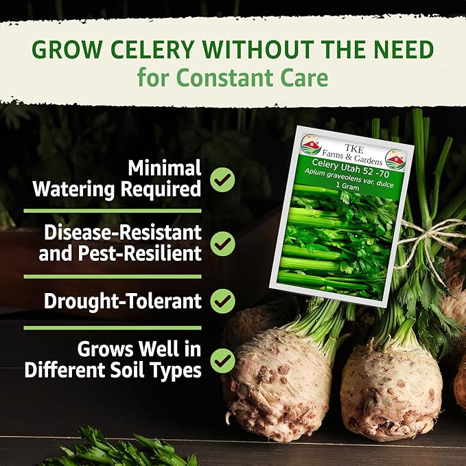 TKE Farms & Gardens - Utah 52-70 Celery Seeds for Planting, Heirloom, Non-GMO, 2500+ Seeds, 1g Packet, Ideal for Fall & Winter Vegetable Gardens, Includes Growing Instructions