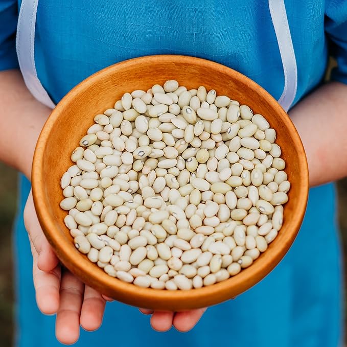 Hutterite Soup Bean - 50 Seeds - Heirloom & Open-Pollinated Variety, USA-Grown, Non-GMO Vegetable/Dry Bean Seeds for Planting Outdoors in The Home Garden, Thresh Seed Company