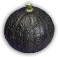 Squash Seeds - Japanese, Winter - Tetsukabuto - Hybrid - 2 g Packet ~12 Seeds - Non-GMO, F1 Hybrid - Asian Garden Vegetable