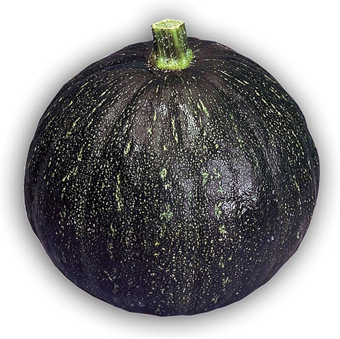 Squash Seeds - Japanese, Winter - Tetsukabuto - Hybrid - 1 Oz ~156 Seeds - Non-GMO, F1 Hybrid - Asian Garden Vegetable
