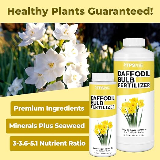 Daffodil Fertilizer – Liquid Plant Food for More Blooms & Stronger Bulb Development, 8 oz