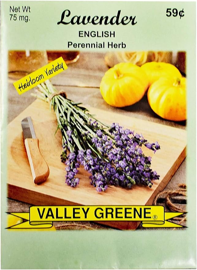 Set of Flower Seed Packets! Flower Seeds in Bulk - Great for Creating The Garden of Your Dreams! (50, Lavender)