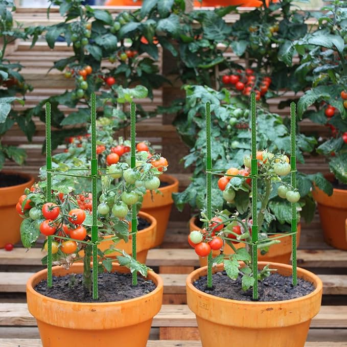 Halatool 2 Pack Tomato Cages for Garden,Up to 63in(5.2FT) Adjustable Tall Tomato Cage,Garden Stakes Tomato Trellis for Pots,Tomato Plant Support for Raised Garden Bed &Vegetables Flowers(Green)