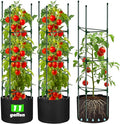 3 Pack Tomato Cages 55 x 12 Inch for Garden with 11 Gallon Round Grow Bags Planter Pots with Heavy Duty Triangle Trellis Plant Stakes Support Frames for Cucumber Vegetables Flowers