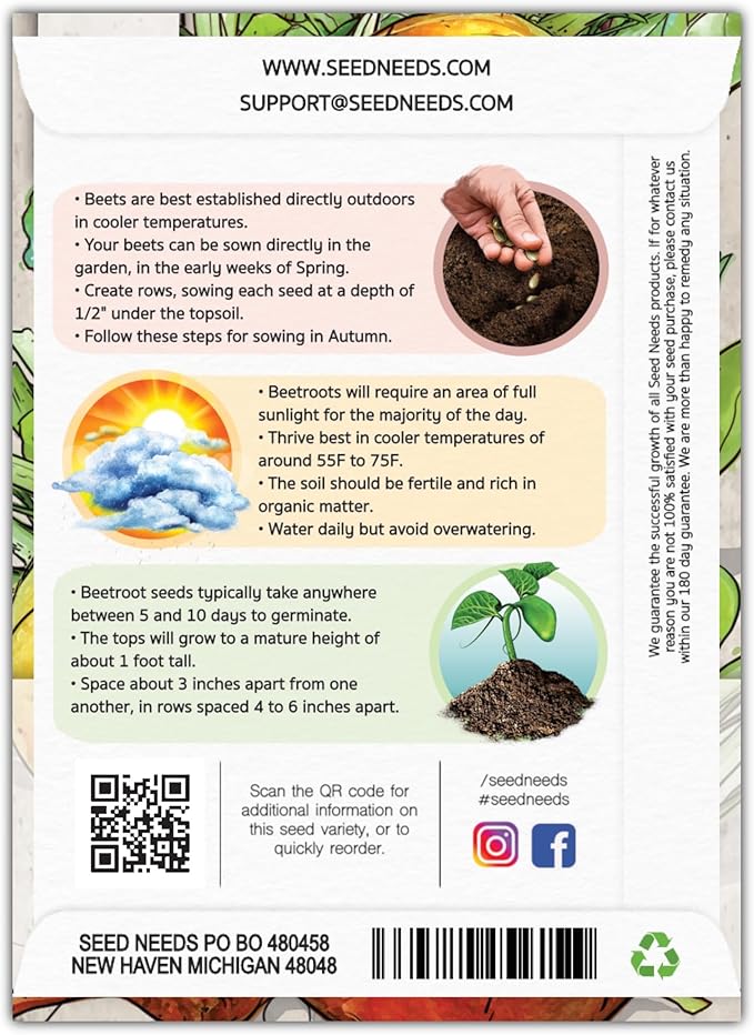 Seed Needs, Golden Detroit Beet Seeds - 250 Heirloom Seeds for Planting Beta vulgaris - Grow an Outdoor Garden Non-GMO & Untreated (2 Packs)
