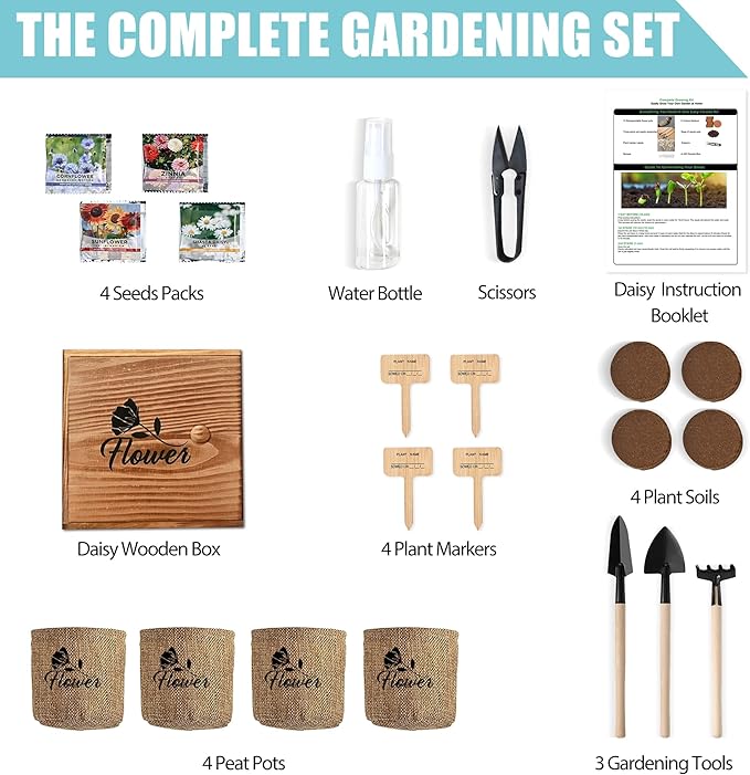 Meekear Indoor Starter 4 Kit with Complete Gardening Kit & Wooden Box, Growing into Shasta Daisy, Cornflower, Sunflower, Zinnia