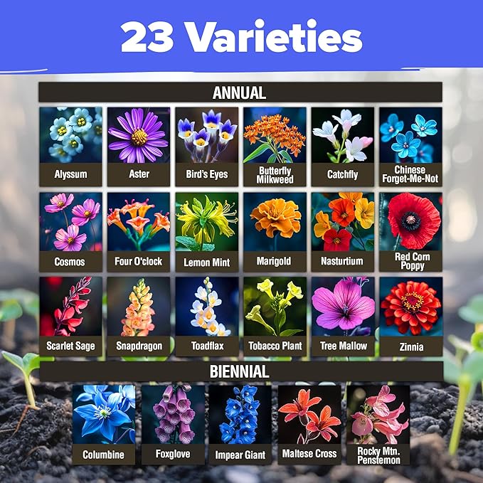HOME GROWN Premium Wildflower Seeds Bulk - 134,000+ Non-GMO USA Native Seeds for Planting Outdoors - 23 Varieties Wild Flower Mix for Butterfly Garden, Perennial & Annual Flowers (3oz)