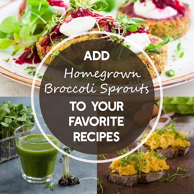 Waltham 29 Broccoli Seeds | Non-GMO Bulk Heirloom Broccoli Seeds for Sprouting, Microgreens, Vegetable Gardening, Garden Salad Garnishes, & More (4 Oz)