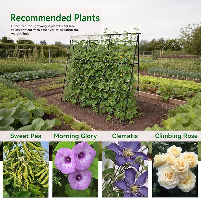 Cucumber Trellis - 49.4"*49.4" Metal Garden Trellis for Climbing Plants, Garden Trellis with Plastic-Coated Steel Pipe, A Frame Trellis for Cucumbers, Peas, Morning Glories(Black)
